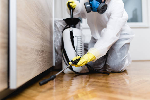 Best Bed Bug Extermination  in Belding, MI