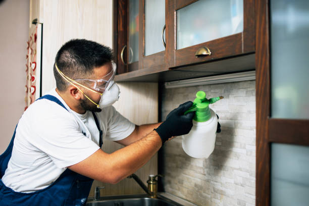 Best Best Pest Control Companies  in Belding, MI
