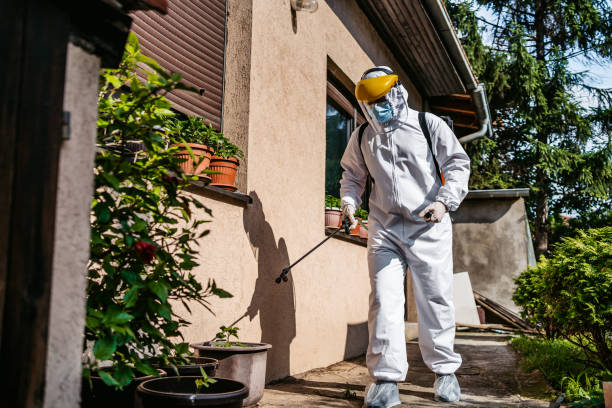 Best Rodent Control Near Me  in Belding, MI
