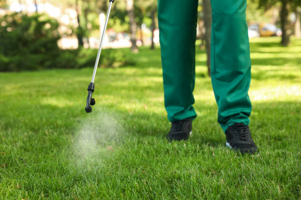 Best Best Pest Control Companies  in Belding, MI
