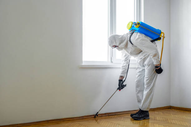 Best Pest Control Near Me  in Belding, MI