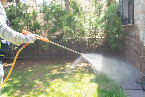 Best Wildlife Control Services  in Belding, MI