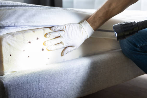 Best Commercial Pest Control Services  in Belding, MI