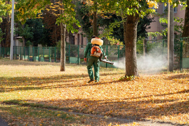 Best Pest Inspection Near Me  in Belding, MI