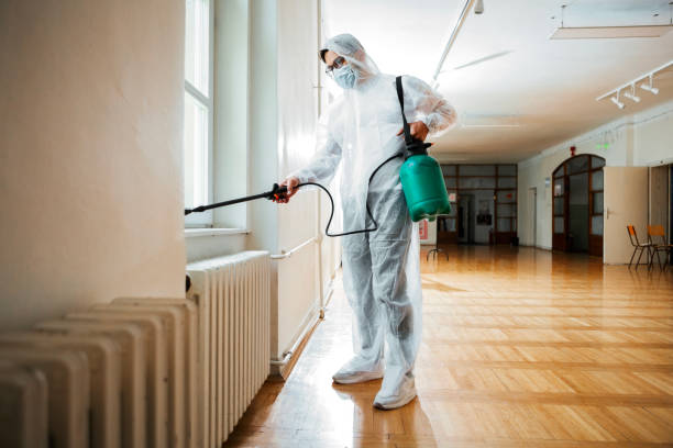 Best Mosquito Control Services  in Belding, MI