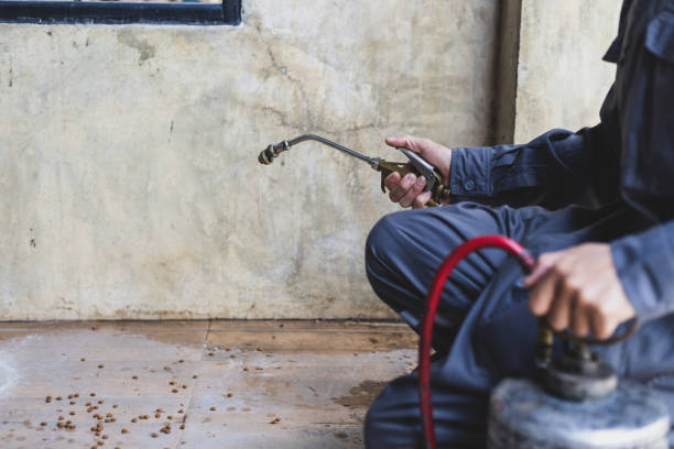 Best Exterminator Services  in Belding, MI